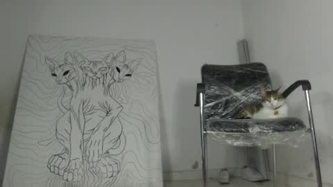 Antonella  online show from 03.17.26