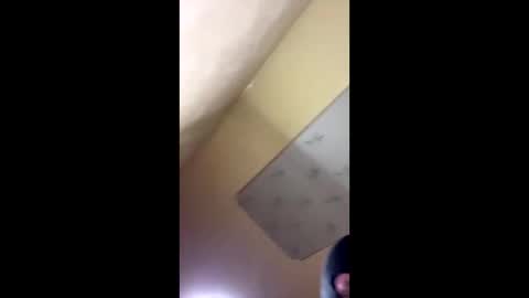 Snapshot of emillycutemurr_ chatting on 10.14.25 Emily online show from 10.14.25