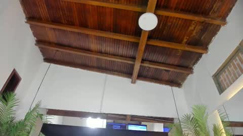 Emily  online show from 02.26.26