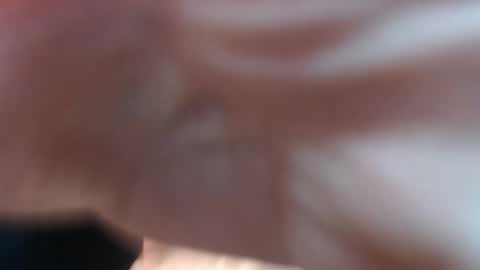 emilyfork online show from 03.31.26