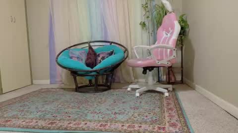 emily haze online show from 11.08.25