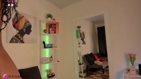 Snapshot of emma_backer_ chatting on 02.18.25 Stefany online show from 02.18.25