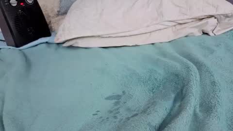 Snapshot of emma_foxi chatting on 12.15.25 Emma online show from 12.15.25