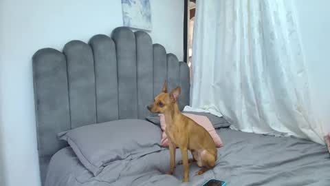 Snapshot of emma_saenz01 chatting on 02.12.26 emma_saenz01 online show from 02.12.26