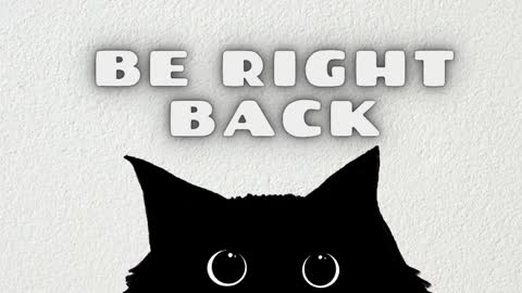   online show from 04.08.26