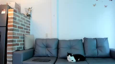 Emma Brant online show from 02.18.26