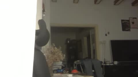 Ariel online show from 12.03.25