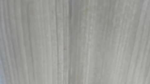 Snapshot of emycarver09 chatting on 02.01.26 emycarver09 online show from 02.01.26