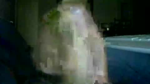 encormoi online show from 11.14.25