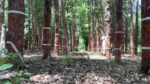 Luke online show from 11.26.25