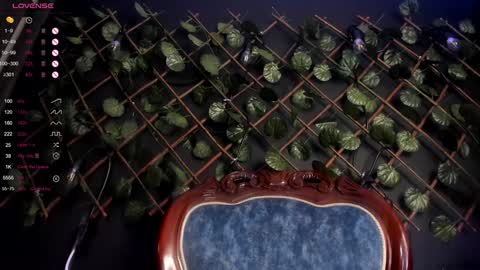 ENJU  I will be back online at 830PM GMT-5 online show from 12.07.24