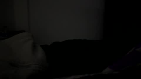 Snapshot of eriolt9 chatting on 04.01.26 Eriolt online show from 04.01.26