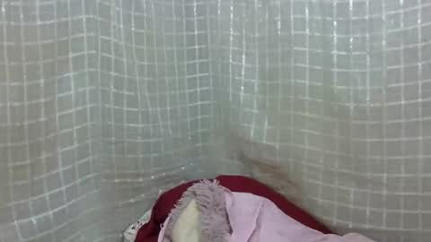 erotic_ebony56 online show from 04.16.26