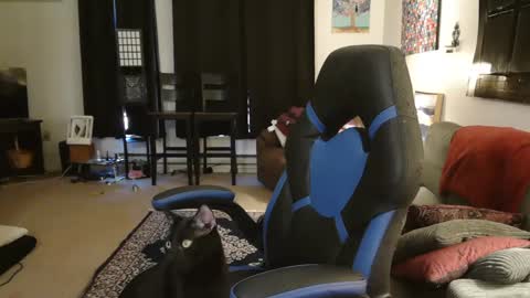 Snapshot of eroticsiren2 chatting on 02.05.25 EroticSiren2 online show from 02.05.25