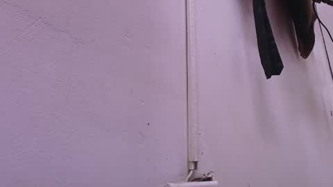 Estrella online show from 02.22.25