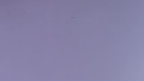 Estrella online show from 10.01.25