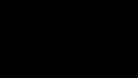 greetings  sergi  online show from 11.22.25