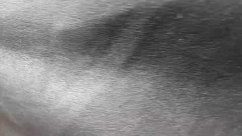 greetings  sergi  online show from 11.30.25