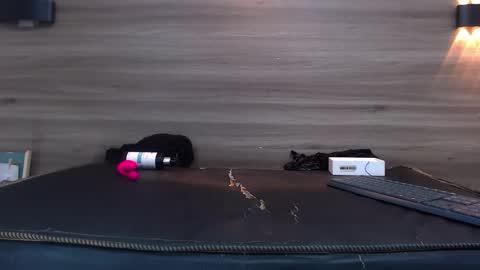 Snapshot of eva_monwalker chatting on 01.31.25 Eva cute online show from 01.31.25