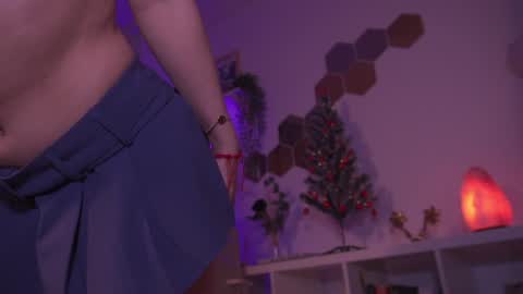 Snapshot of evapunkprincess chatting on 12.23.24 Eva online show from 12.23.24