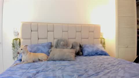 Snapshot of even_scoty chatting on 10.25.25 even_scoty online show from 10.25.25