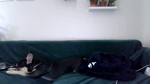 Badblondebunny online show from 10.27.25