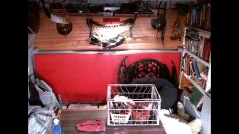 EvPierce online show from 03.30.26