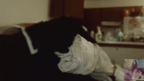 Snapshot of exoticlexi chatting on 09.09.25 Exoticlexxii online show from 09.09.25