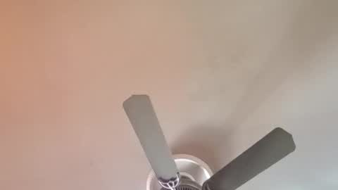 Exoticlexxii online show from 04.06.26