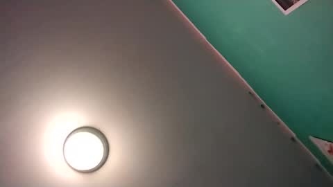 experttreecompany online show from 02.16.26