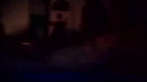 experttreecompany online show from 03.03.26