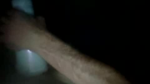 experttreecompany online show from 03.24.26