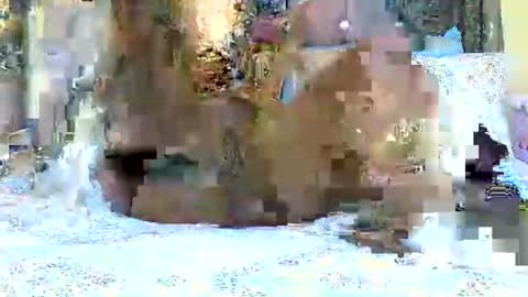 Snapshot of explicitly_certified chatting on 03.03.25 explicitly_certified online show from 03.03.25