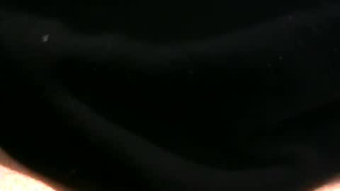 JC online show from 12.21.25