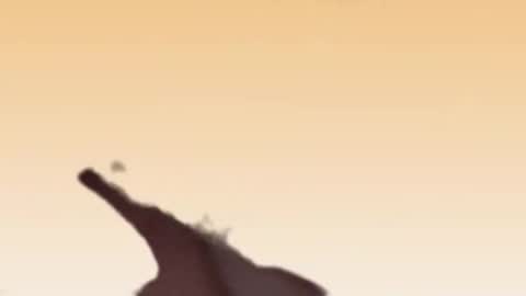 Snapshot of fabinou32 chatting on 11.22.25 fabinou32 online show from 11.22.25