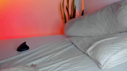 -  A N D E R online show from 11.03.25