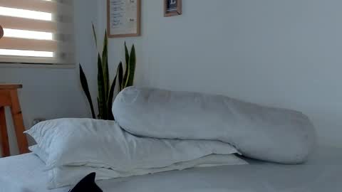 -  A N D E R online show from 11.20.25