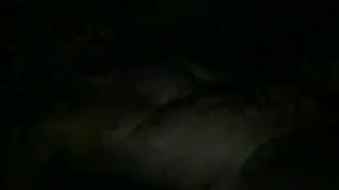 Snapshot of fabx7777 chatting on 11.10.25 FABX online show from 11.10.25