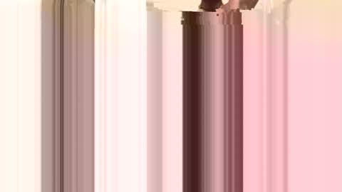 facesd online show from 04.20.26