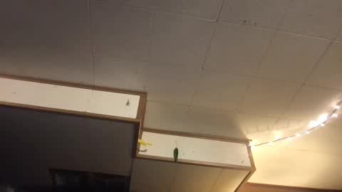 Snapshot of faexoxoxo chatting on 03.12.25 Fae online show from 03.12.25