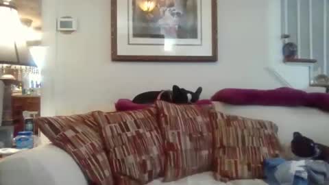 fairmount31 online show from 11.12.25