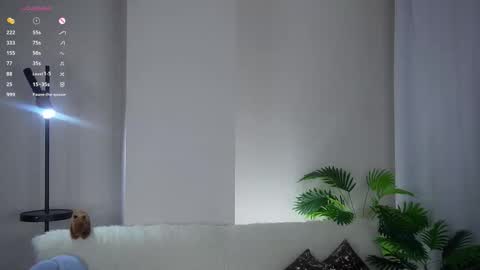 Kim online show from 02.06.26