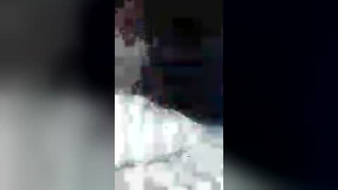 faloshows online show from 06.14.26