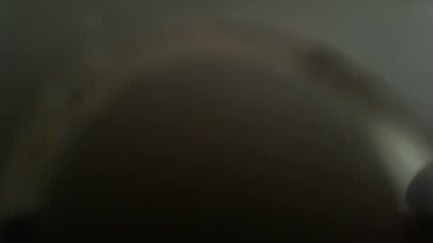 falushp online show from 02.26.25