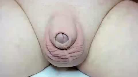 Snapshot of fatmanscock chatting on 10.26.25 Fatmanscock online show from 10.26.25