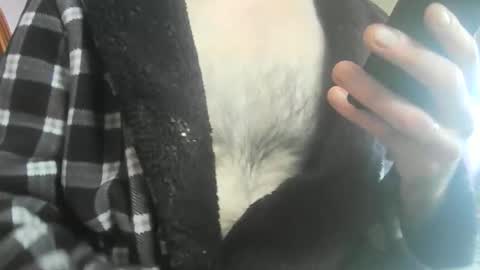 feardubh online show from 02.20.26