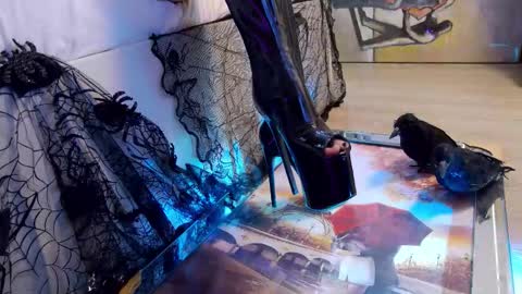 Snapshot of feetvibe chatting on 10.24.25 FeetVibe online show from 10.24.25