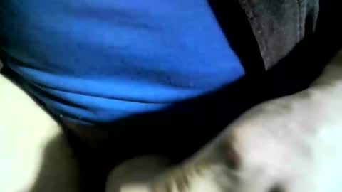 felicaste online show from 01.24.25