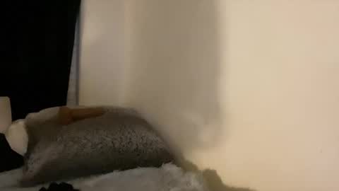 this is justice tricia a bigelow. she was fucking my husband tom girardi online show from 02.03.26