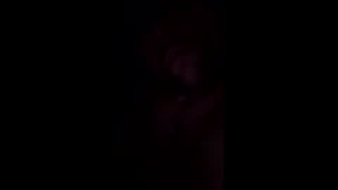 fifipan online show from 03.08.26